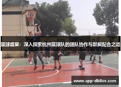 篮球盛宴：深入探索杭州篮球队的团队协作与默契配合之道